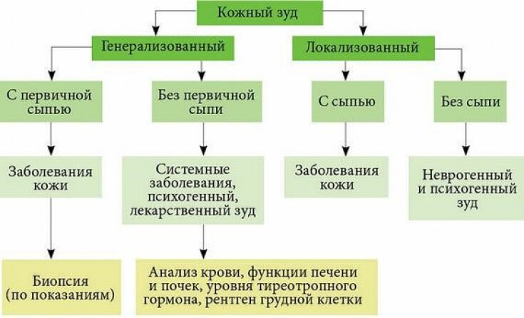 Распространенность и причины зуда кожи