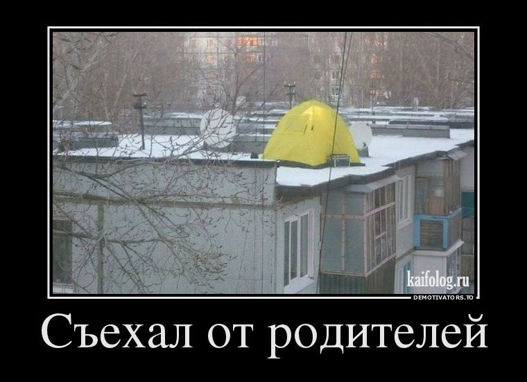 хочу отдельно от родителей. съехал от родителей мем. взрослые дети должны жить отдельно от родителей. когда переехал от родителей. хочу отдельно от родителей.