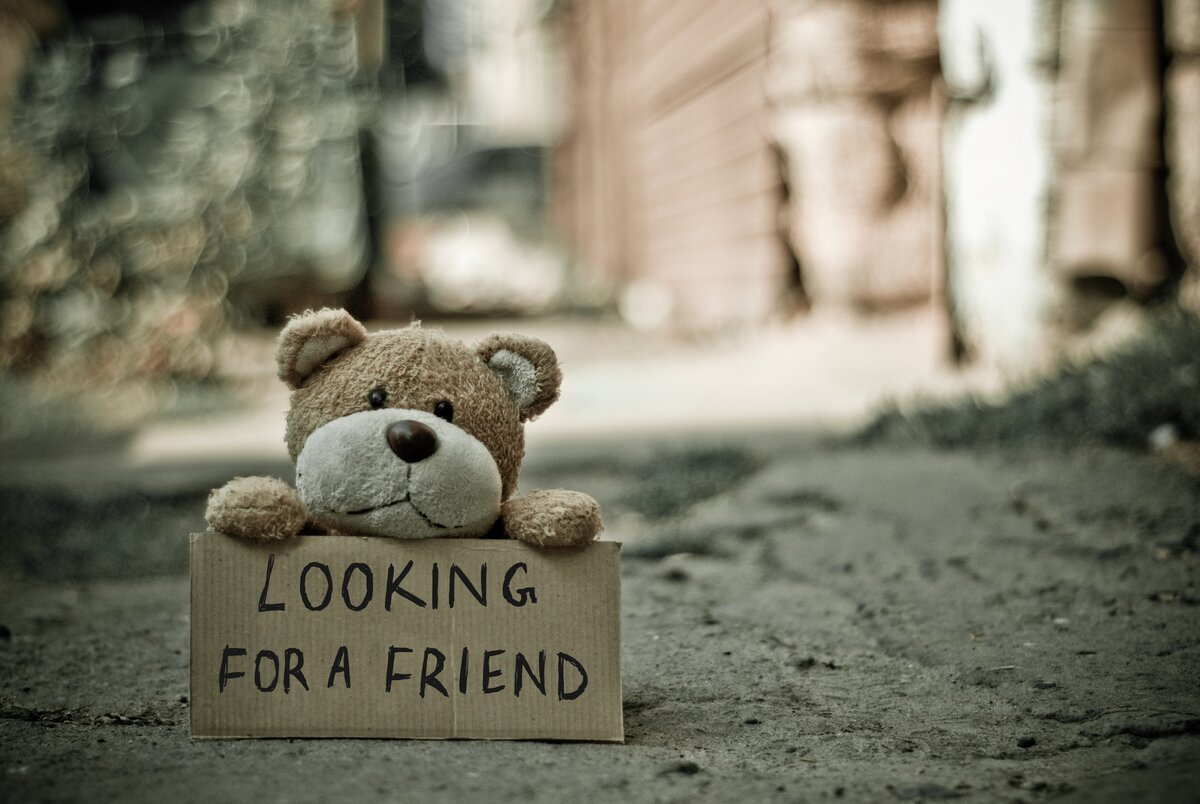 https://www.pexels.com/photo/looking-for-a-friend-bear-165263/