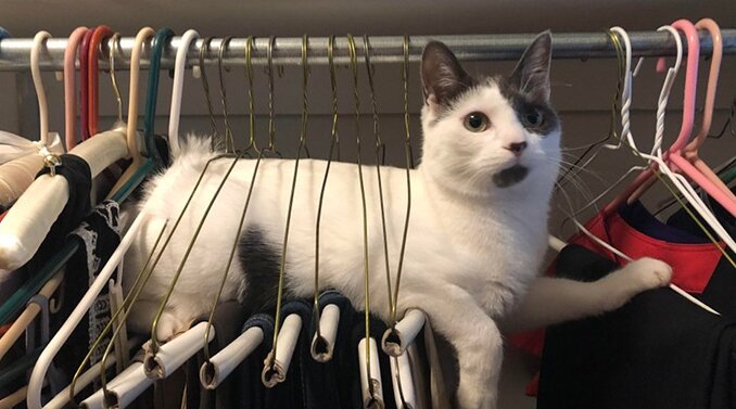 Исключение — гардеробная (кладовая), где можно поставить полноценную дверь. На нее рекомендуется выделять 2-4 кв. м, располагать либо в холле, либо в спальне.