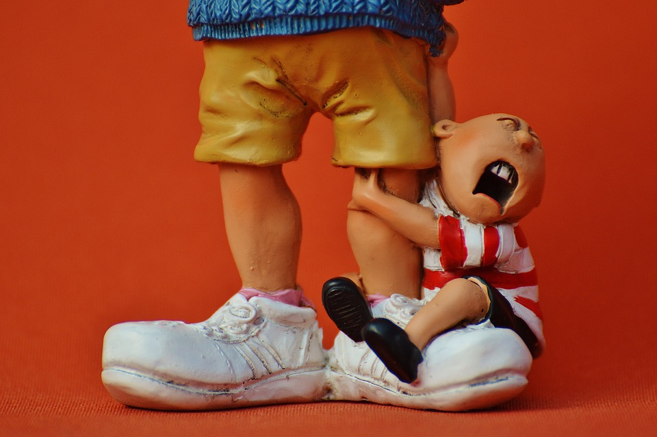 https://pixabay.com/photos/baby-sitter-children-educator-nanny-1249395/