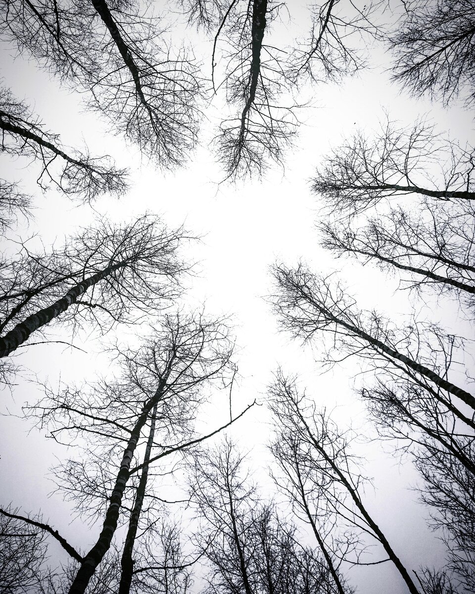 https://www.pexels.com/ru-ru/photo/922353/
