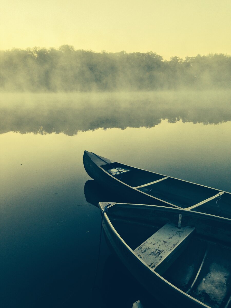 https://unsplash.com/photos/QndJcW1KTUg