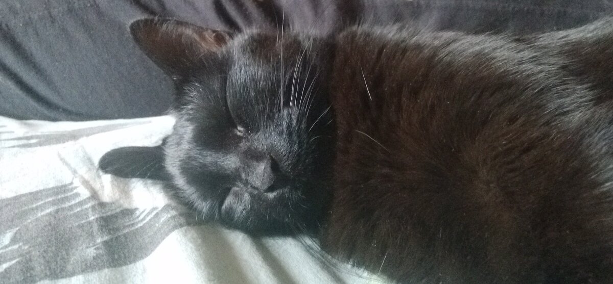 Покой и гармония!