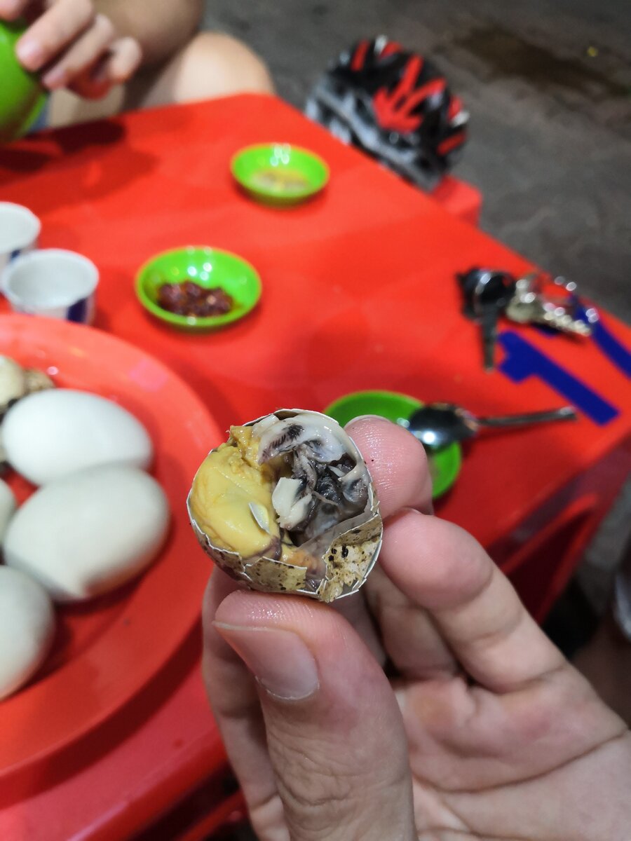 перепелиное яйцо с зародышем.