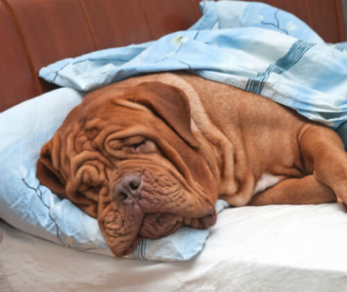 Потеря или проглатывание иностранного предмета