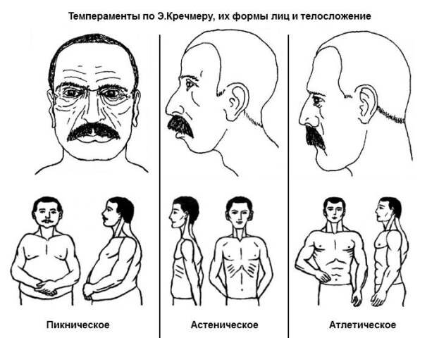Черты трех видов темперамента