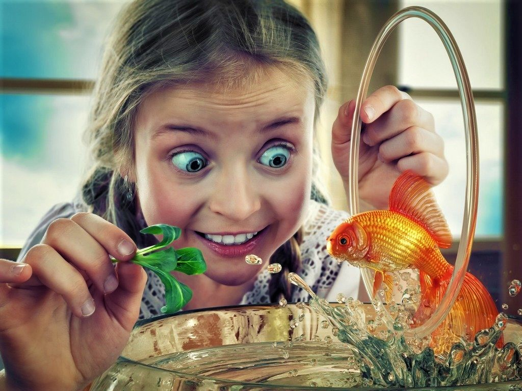 Источник фото Яндекс.Картинки