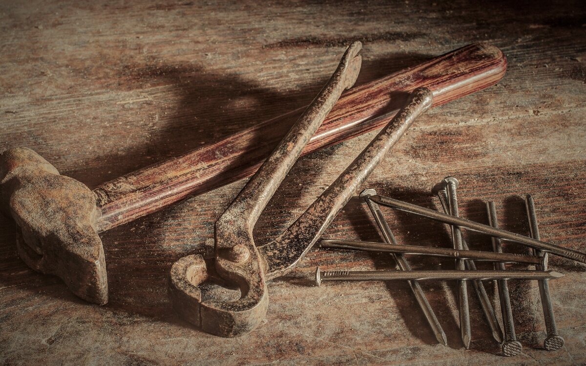 фото из открытых источников