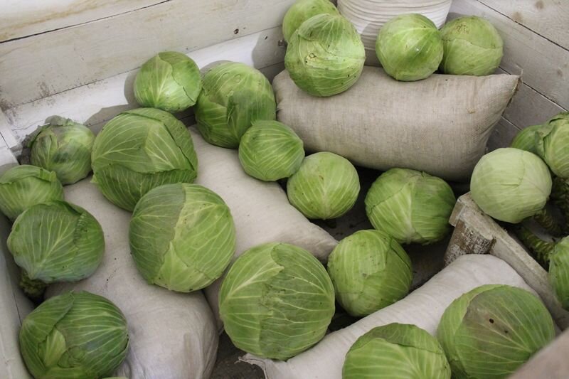 на зиму хватить должно