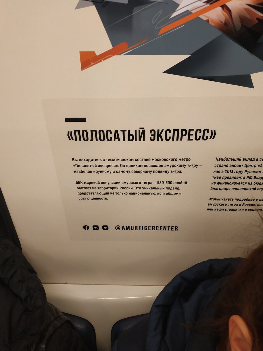 Уникальный поезд в московском метро, посвященный амурскому тигру |  Столичный провинциал | Дзен