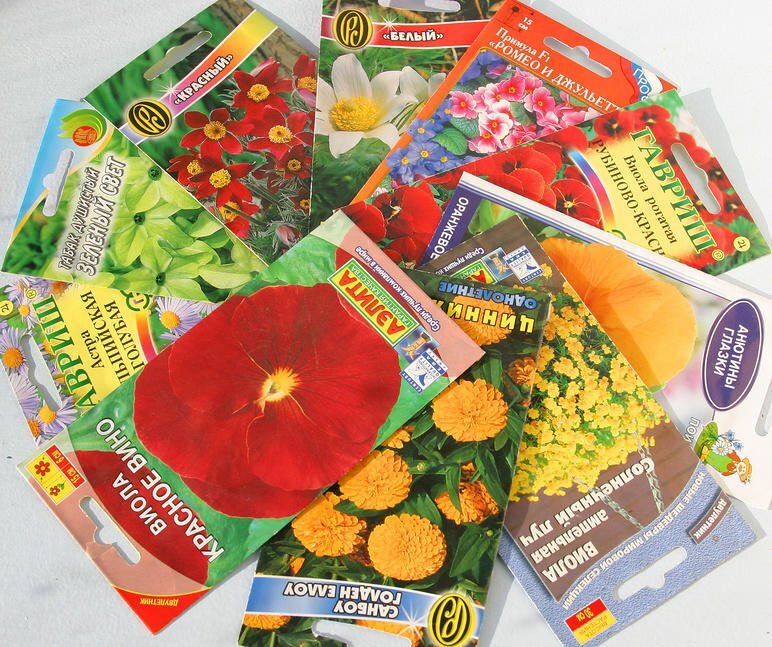 изображение изыскано в интернете