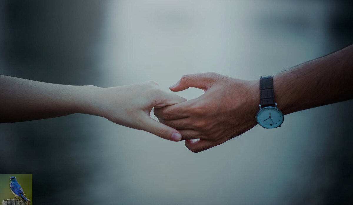 фото взято из открытых источников