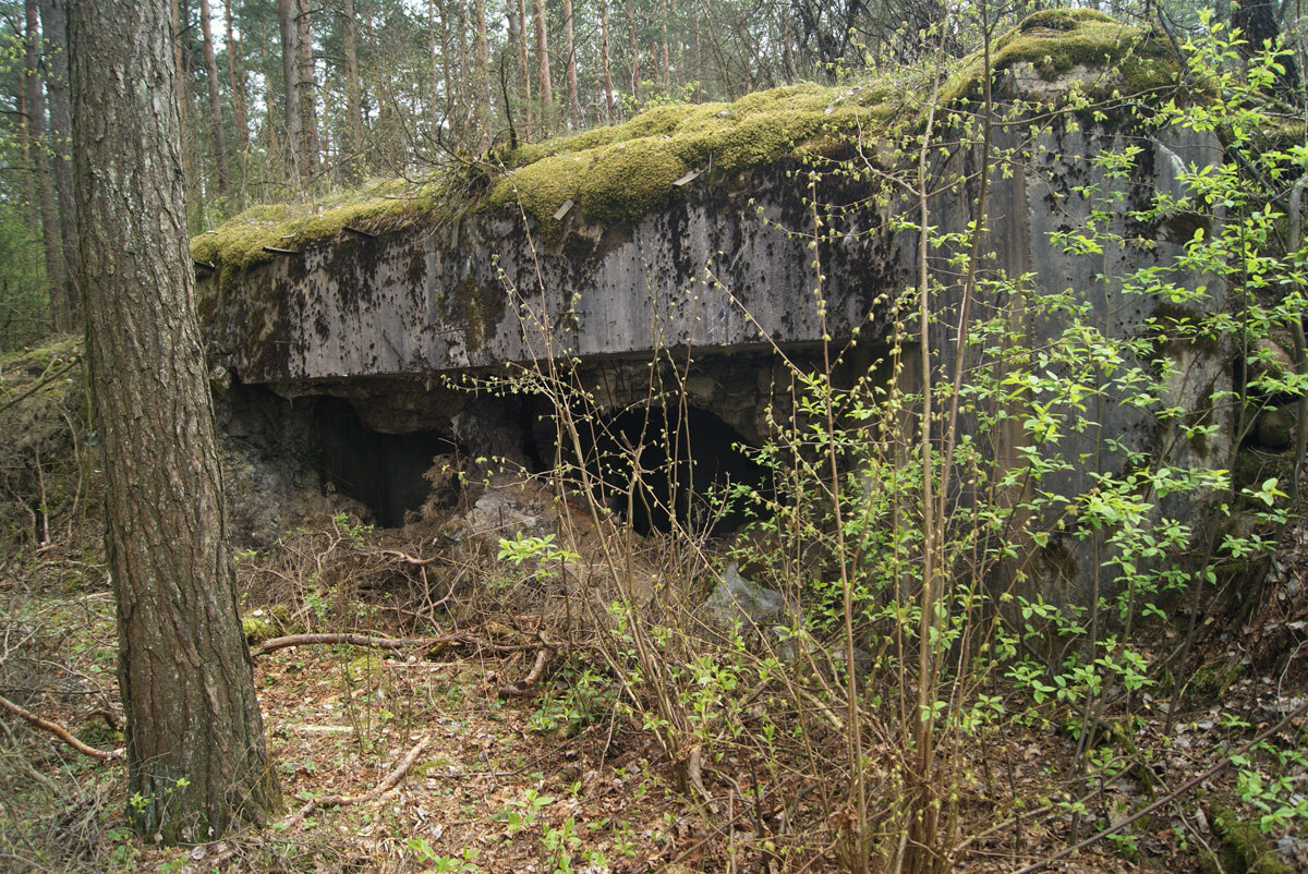 дот демина в гатчинском районе история фото 104