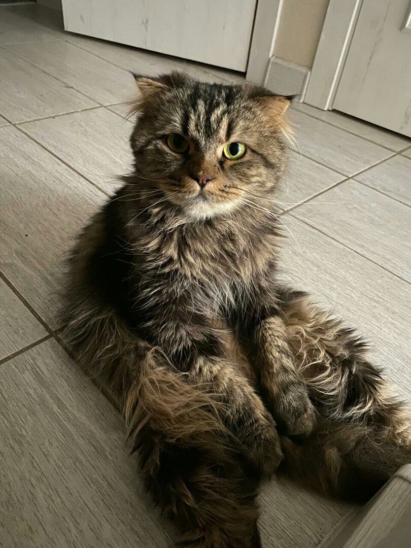 Буся передает привет из дома