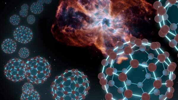 Фотография из открытых источников.