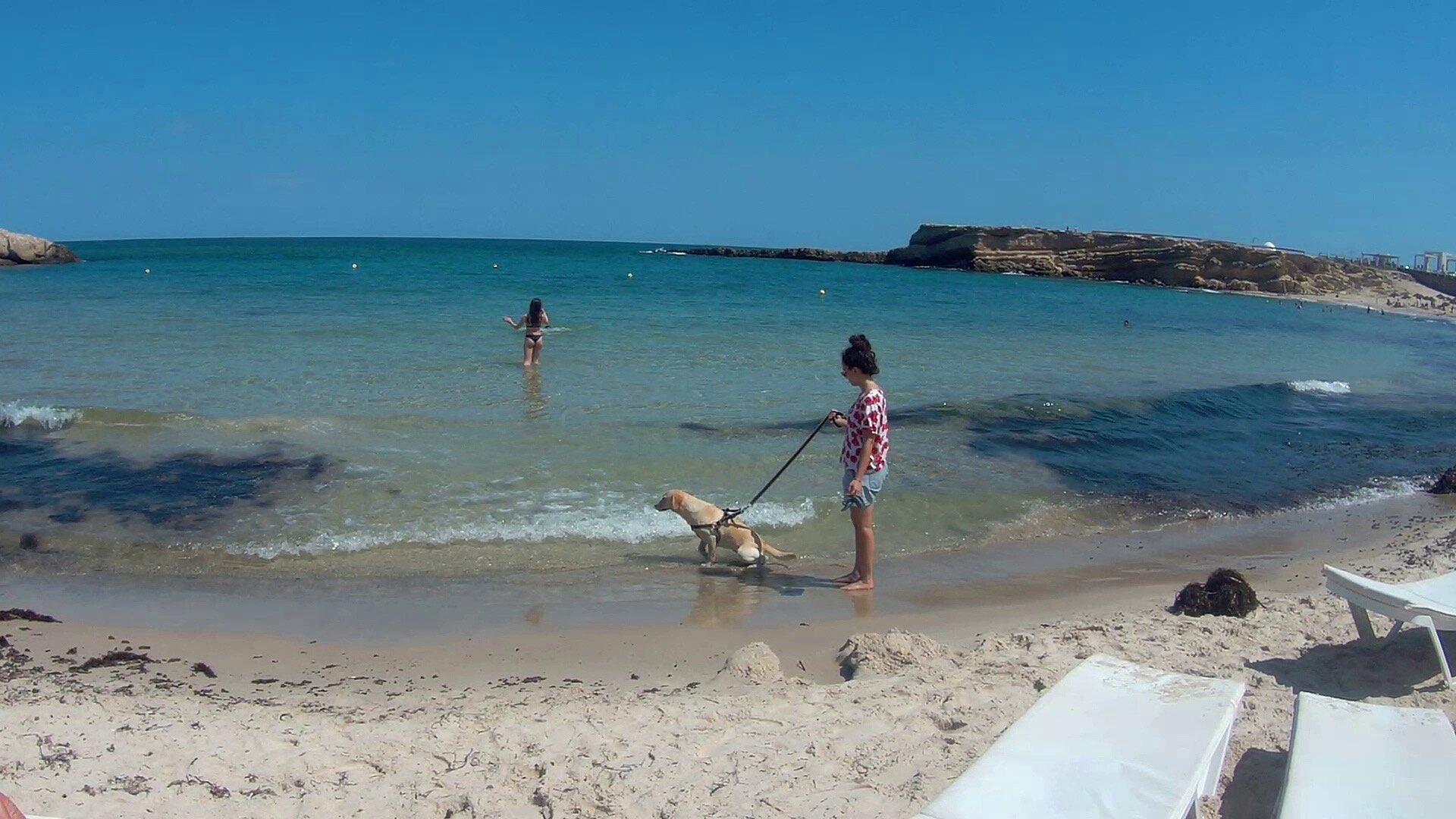 Отдых в Тунисе: собаки, справляющие нужду, и прочие прелести