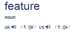 Источник https://dictionary.cambridge.org/dictionary/english/feature 