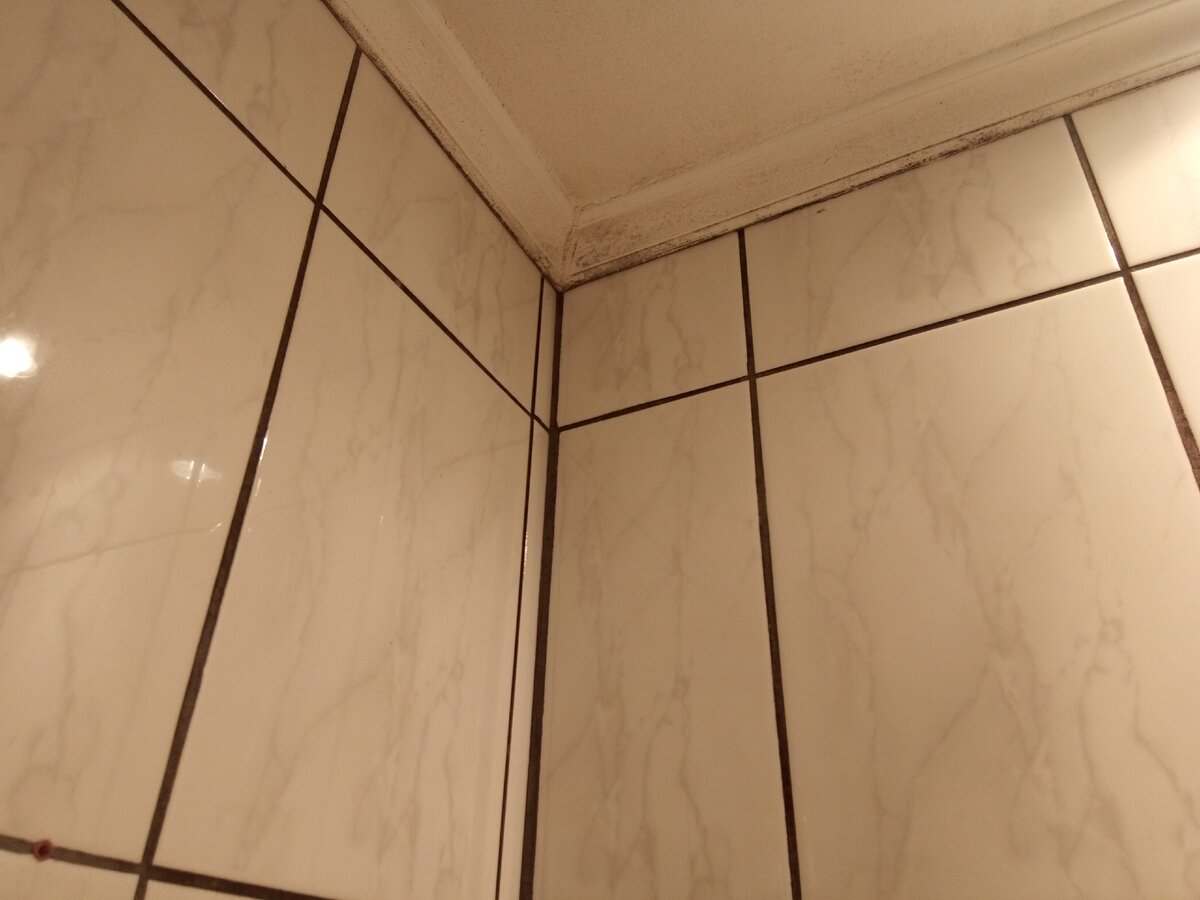 наша ванна, после недельного отсутствия