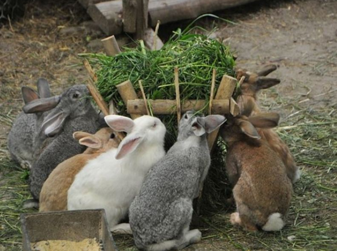 Картинка из интернета.