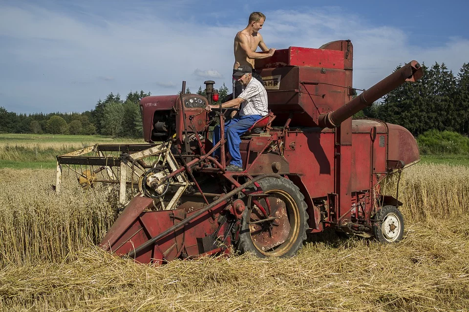 https://cdn.pixabay.com/photo/2018/07/31/15/41/harvest-3575356_960_720.jpg