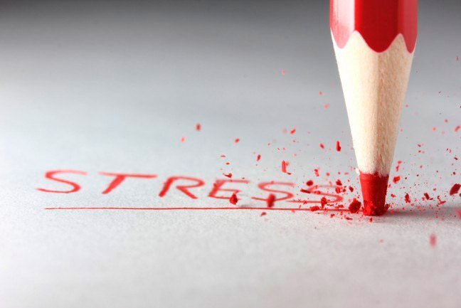 Фото взято из открытых источников