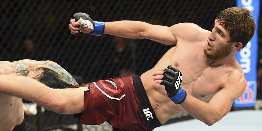 Стотя от UFC 