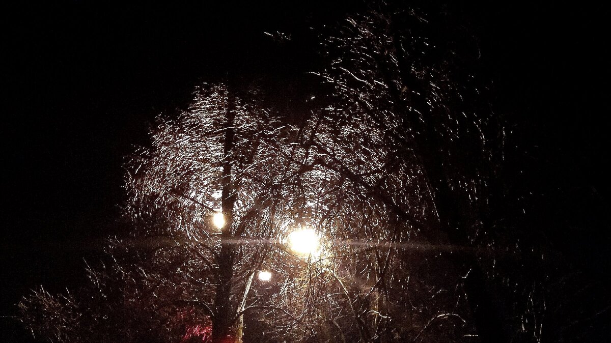 А это фото я сделала вчера в городе. Очень красиво. Деревья, будто хрустальные переливаются на фоне ночного неба..