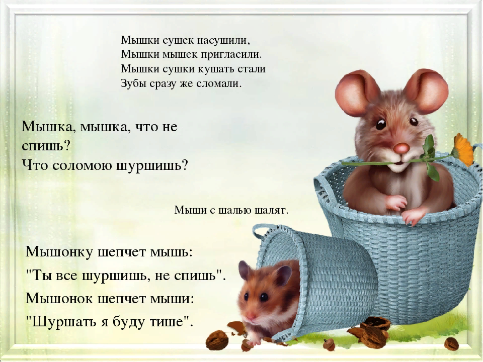 1 начист мыш нок. Стих про мышь. Стих про мышку. Скороговорки для детей про мышку. Стихотворение про мышонка.