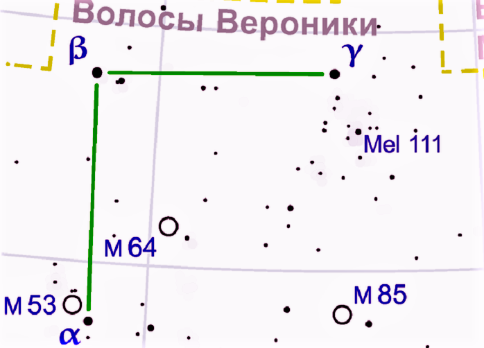 Что такое волосы вероники ответ