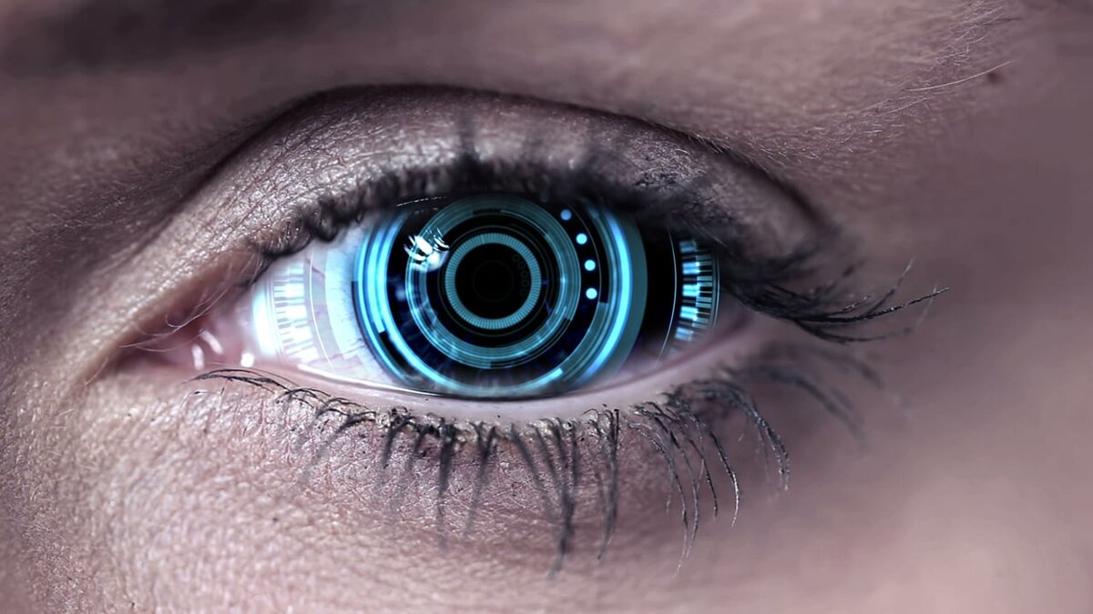 Источник: dreamstime.com