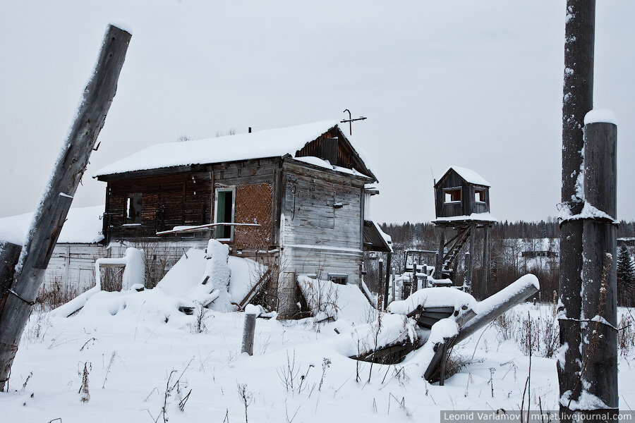 фото с nevsedoma.com.ua