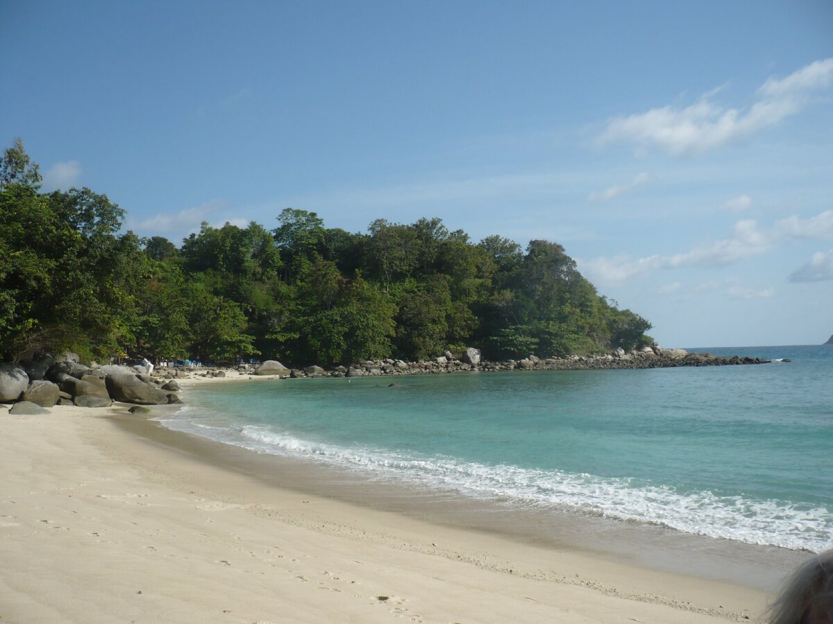 Парадайз бич