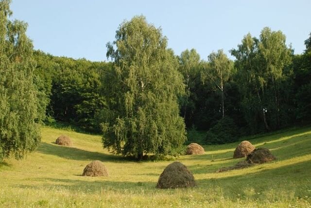 Копны. Яндекс картинки.