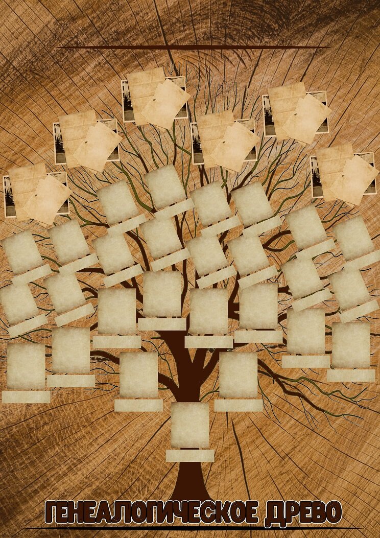 Шаблон генеалогического дерева для самостоятельного заполнения. 