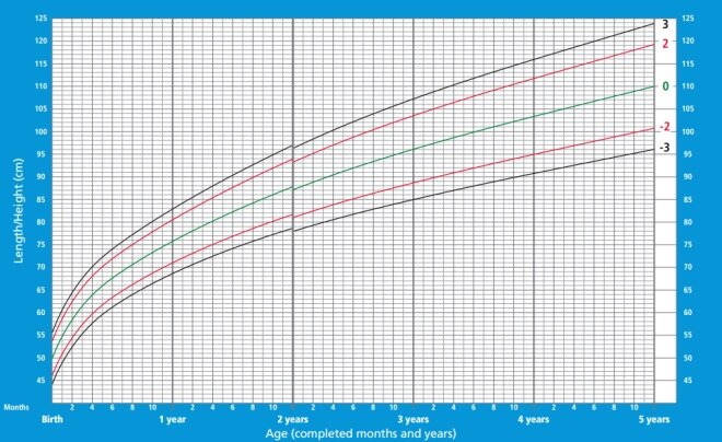 Графики веса ВОЗ: шпаргалка для мамы