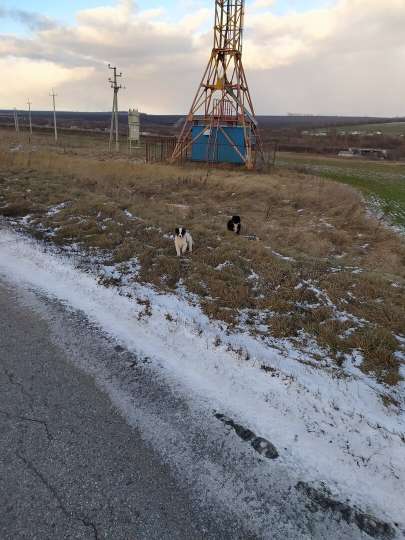 Крохи в поле совсем одни...