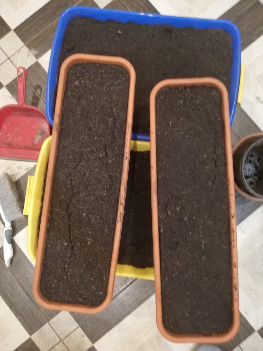 Сажаем вот...