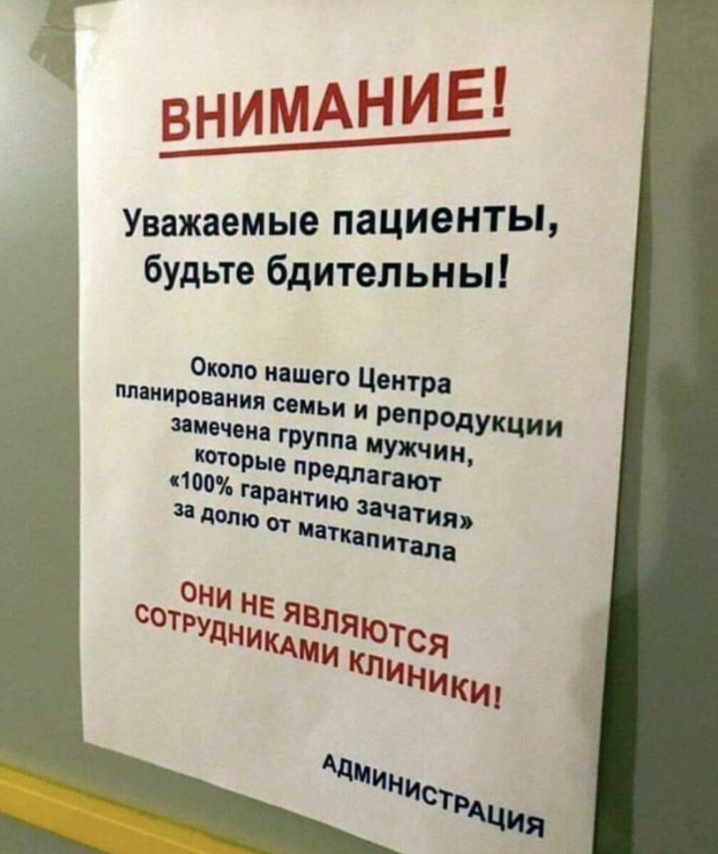 Фото из открытого источника.