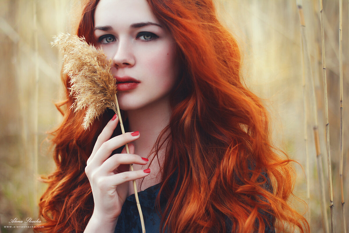 Фото: yandex.ru