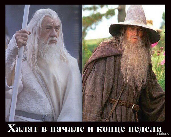 pikabu.ru