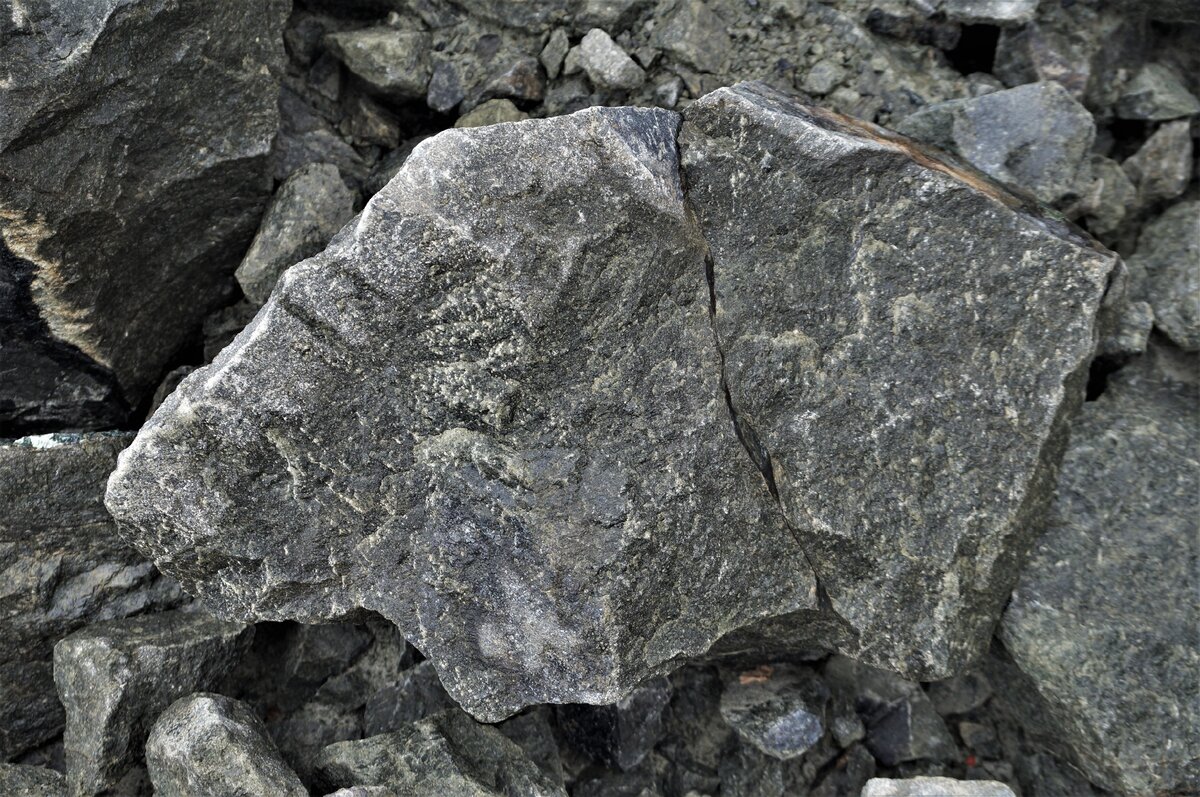 Дуниты являются достаточно распространенной породой на Урале. Их всегда можно найти на месторождениях платины, которые составляют знаменитый «Платиноносный пояс Урала».-6