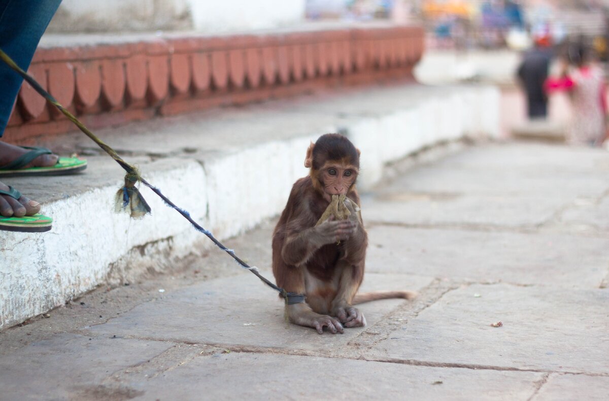 Этот оказался знатным воришкой. Украл у меня очки:(