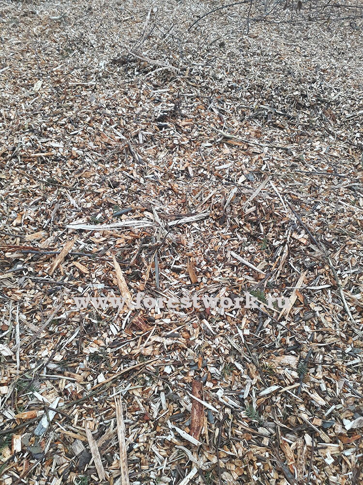 Переработанная измельчителем веток (мульчером) древесина