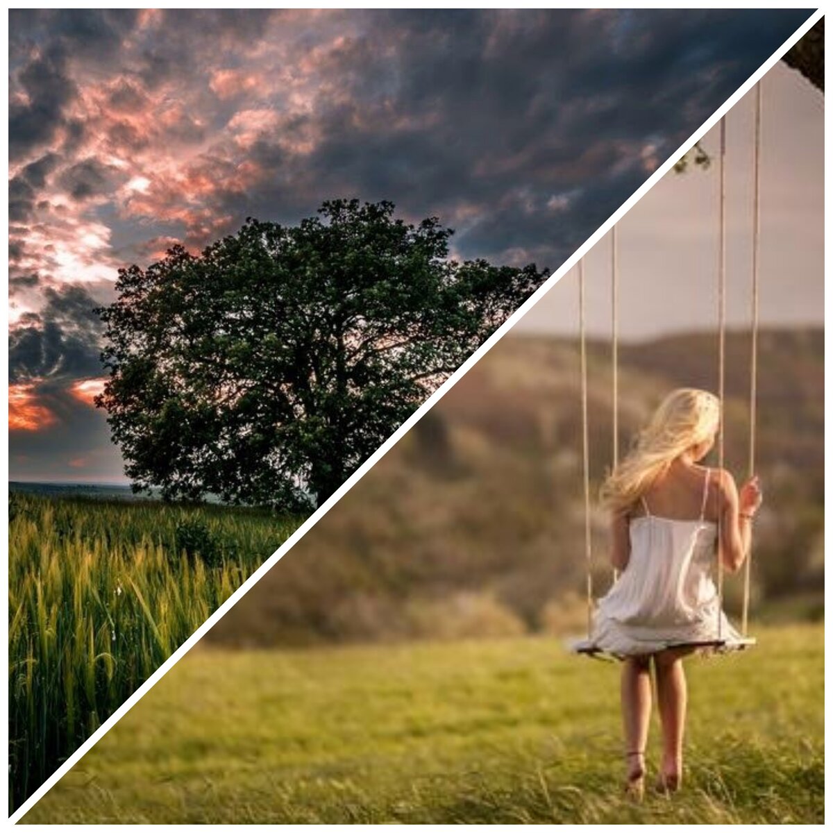 Мычты волшебные мечты...