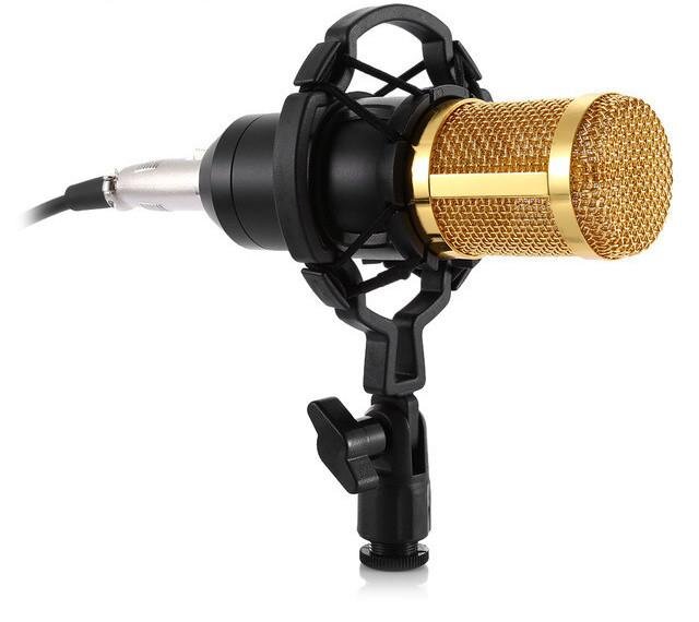 BM - 800