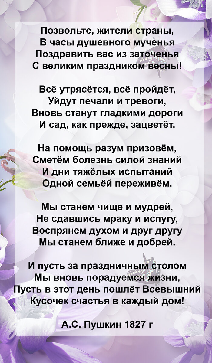 А если я заболею? А если я умру? | MArimir - Стихи и Жизнь как она есть ) |  Дзен