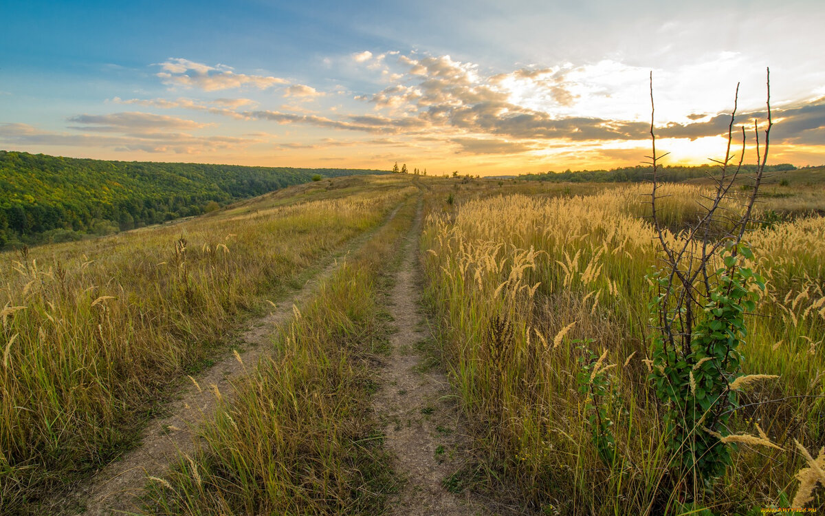 Фотография из открытого источника.