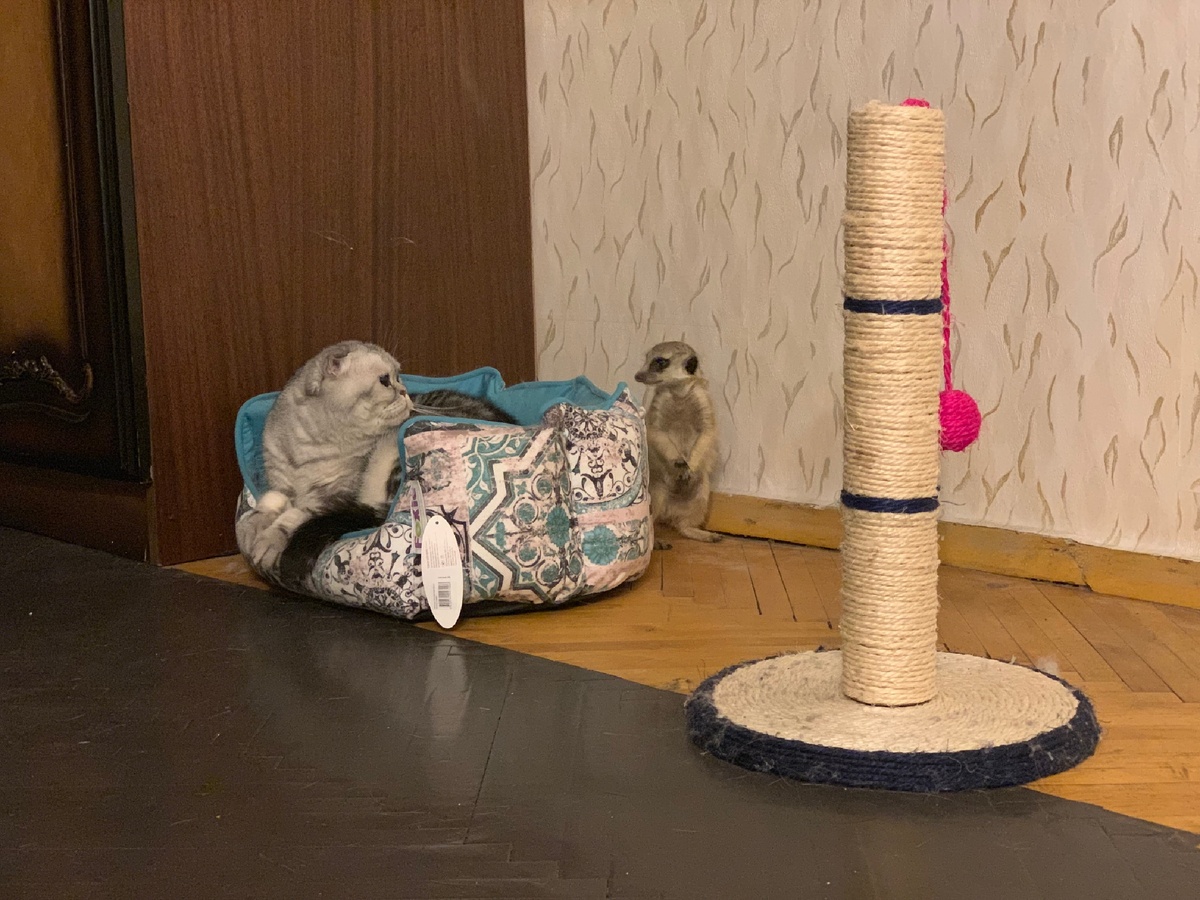 Это уже стадия дружбы, до которой шли несколько месяцев 