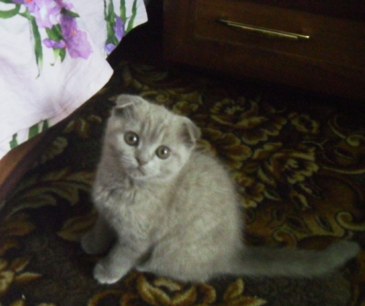 Вот такая крошка была